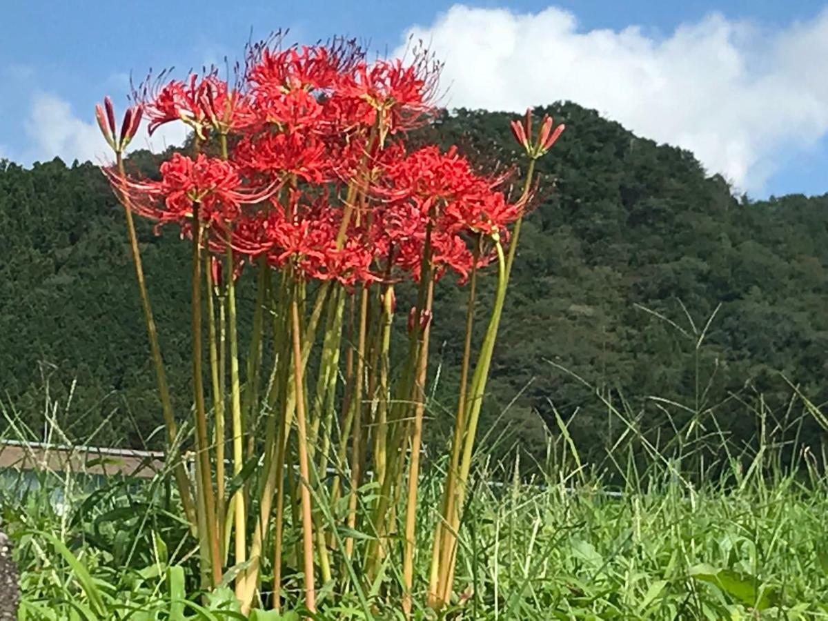 Kinugawa Club Hotel Kinsenkaku Nikkō Luaran gambar